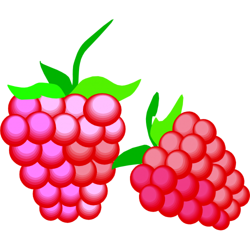 Himbeeren