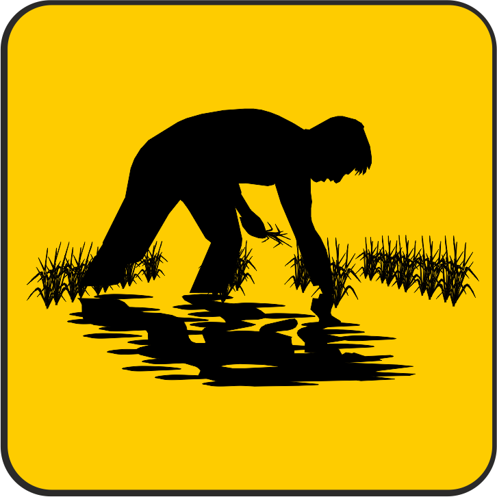 PFLÜCKEN FREIENWILL
